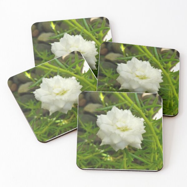 Item preview, Pretty White Carnation Flower designed and sold by Luxxe87.