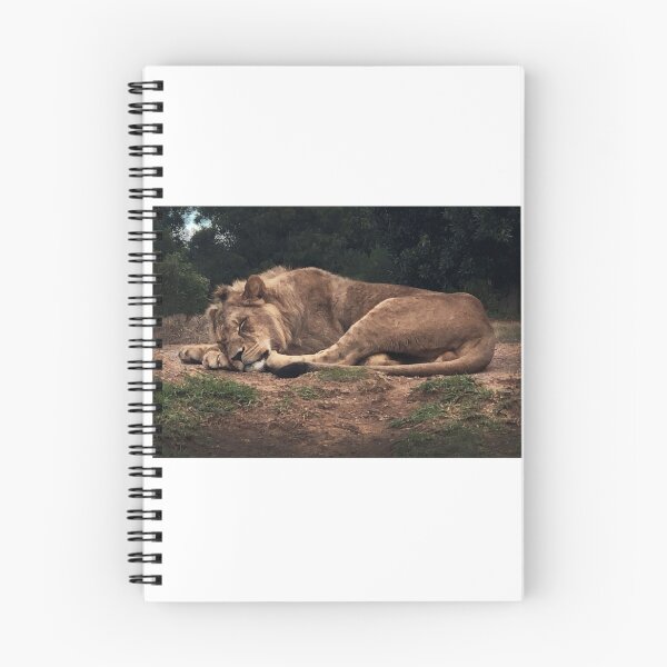 Item preview, Lion Sleeping designed and sold by Roz McQuillan Fine Art & Photography.