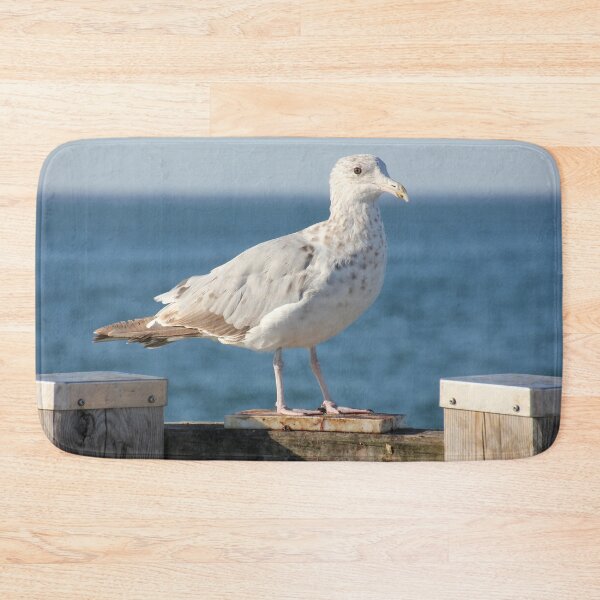Item preview, Wary Gull designed and sold by Autumn Seas Photography.