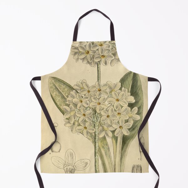 Item preview, Primula chionantha 145 8816 designed and sold by EsotericBotanic.