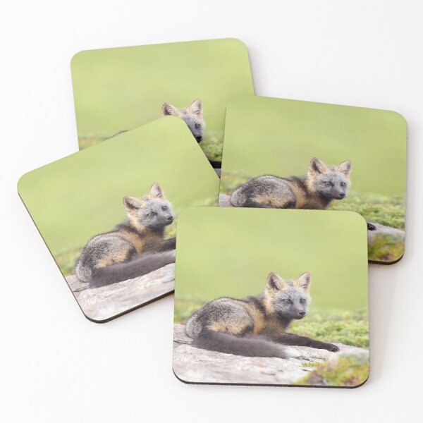 Item preview, Cross Fox Kit designed and sold by mlorenz.