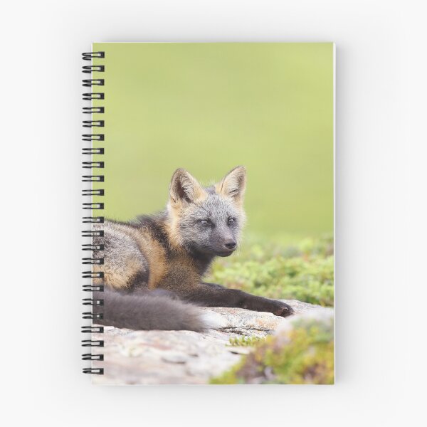 Item preview, Cross Fox Kit designed and sold by mlorenz.