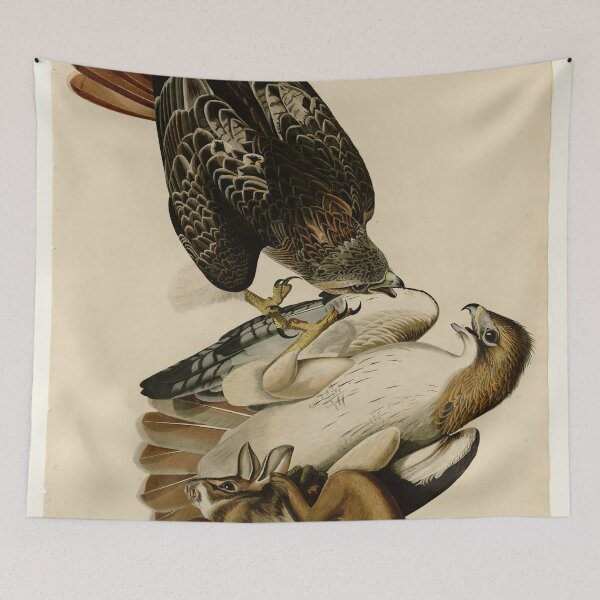 Item preview, 51 Red tailed Hawk designed and sold by Bird-Lore.