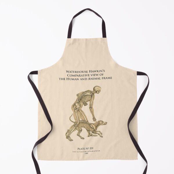 Item preview, Let's go for a walk: skeletal view of a man and his dog. 1860 designed and sold by ebrawne.