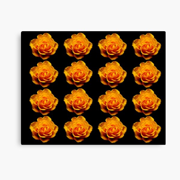 Glimmery Yellow Roses On Black Canvas Print