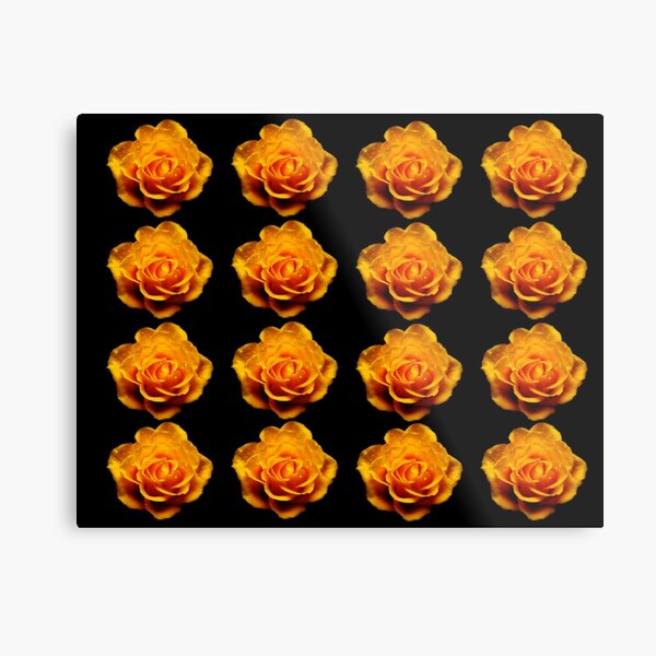 Glimmery Yellow Roses On Black Metal Print