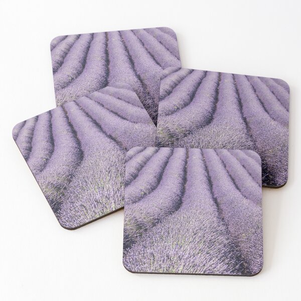 Item preview, Lavender field in provence designed and sold by pietrofoto.