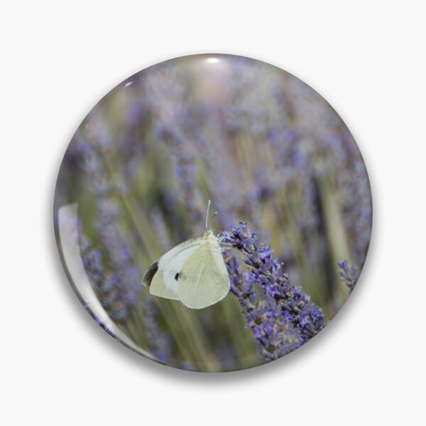 Item preview, Butterfly in a lavender field designed and sold by pietrofoto.