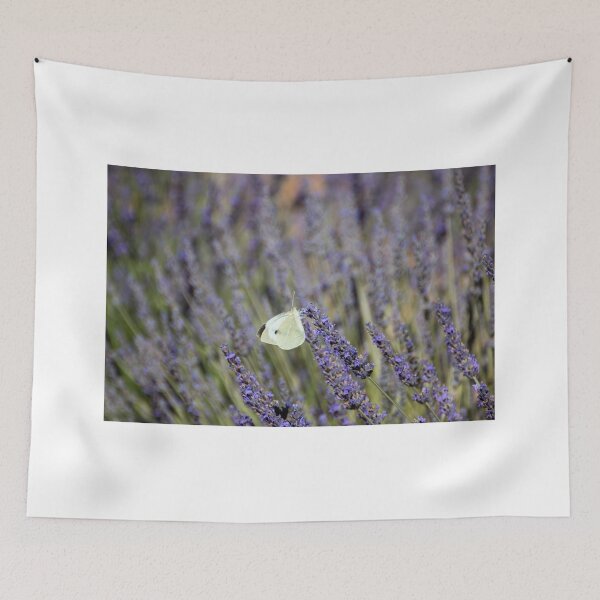 Item preview, Butterfly in a lavender field designed and sold by pietrofoto.