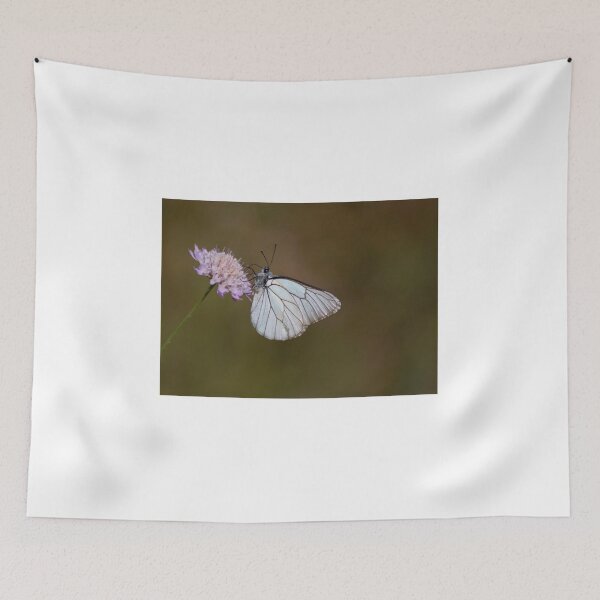 Item preview, White butterfly designed and sold by pietrofoto.