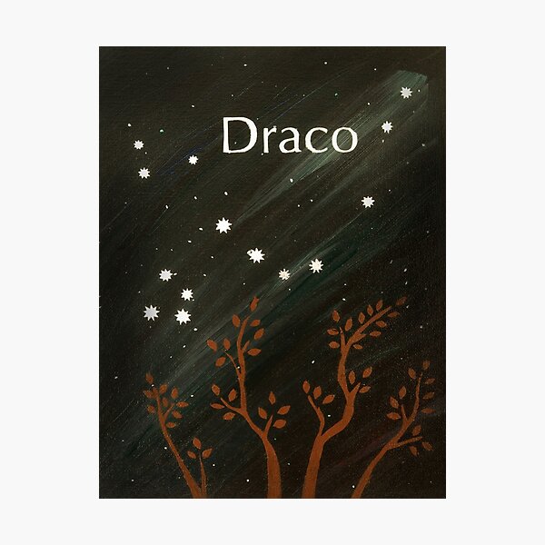 Draco Photographic Print