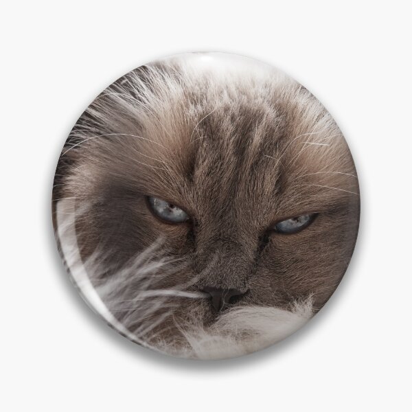 Item preview, CatNap designed and sold by fotosic.
