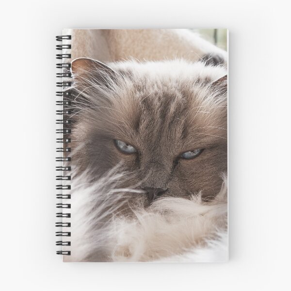 Item preview, CatNap designed and sold by fotosic.