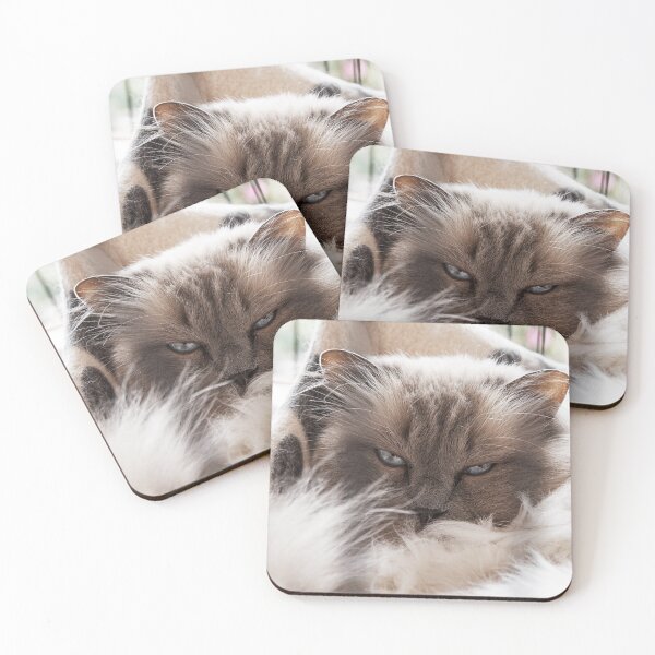 Item preview, CatNap designed and sold by fotosic.