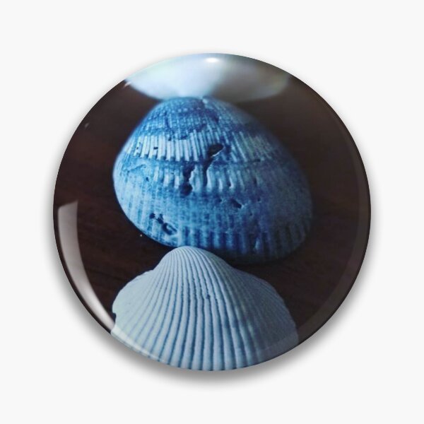 Item preview, Seashell Sequence designed and sold by MythicalDragon.