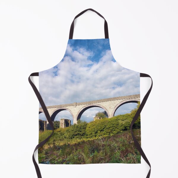 Item preview, College Wood Viaduct Penryn designed and sold by Terri Waters Photography & Design.