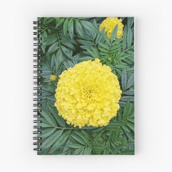 Item preview, Yellow marigold flower blooming in garden designed and sold by ShopThousand.