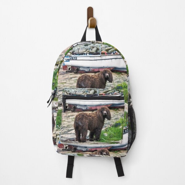 Item preview, Penberth Pooch designed and sold by Terri Waters Photography & Design.