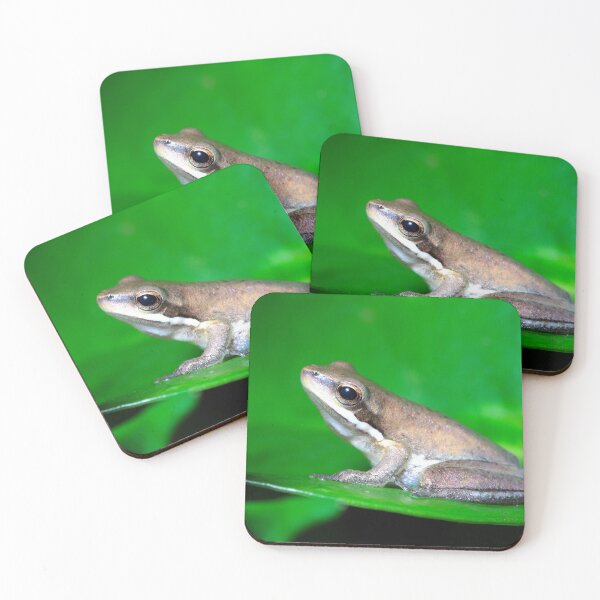 Aperçu de l'œuvre Grenouille sur une feuille verte créée et vendue par Bobfreckle.