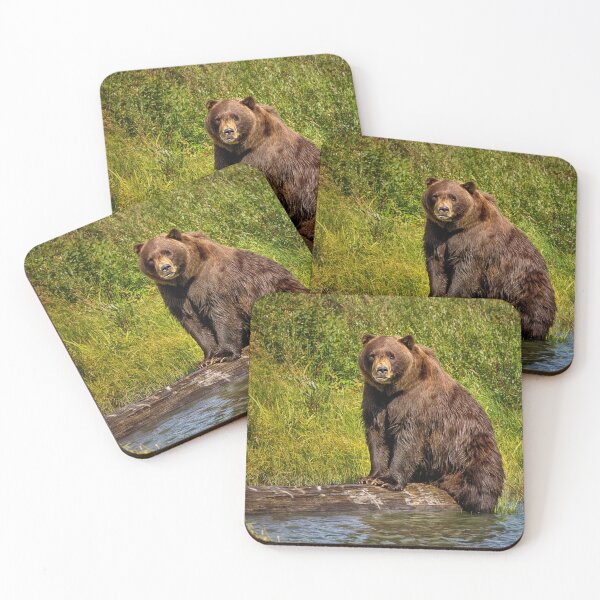 Item preview, Alaska Brown bear designed and sold by Kathy Weaver.