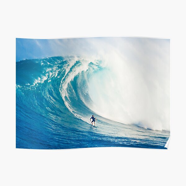 Wild Surf Poster