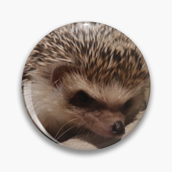 Item preview, Disgruntled Hedgehog! designed and sold by Herzchen.