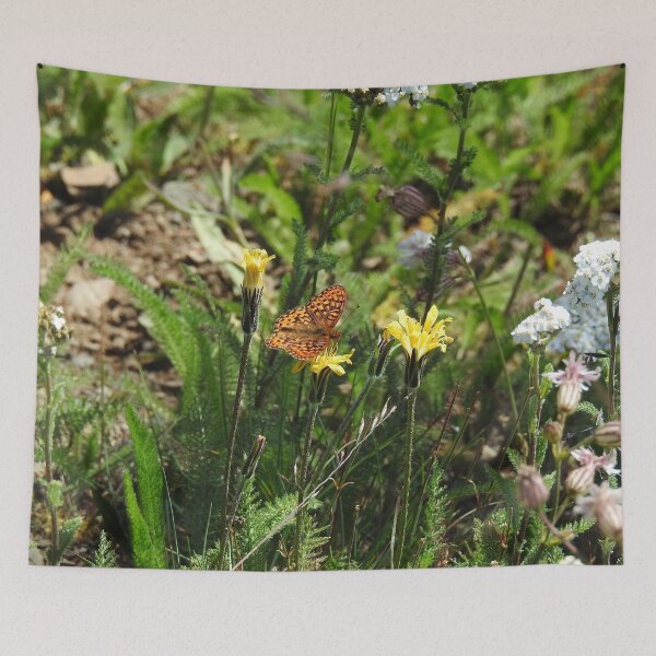 Item preview, Nature, gifts, butterfly, Thore's Fritillary Butterfly, Natures Grace designed and sold by Sandra O'Toole.