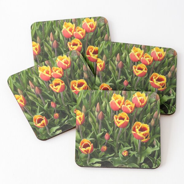 Item preview, Tulips, Washington State, Nature, gifts, Natural Vibes designed and sold by Sandra O'Toole.