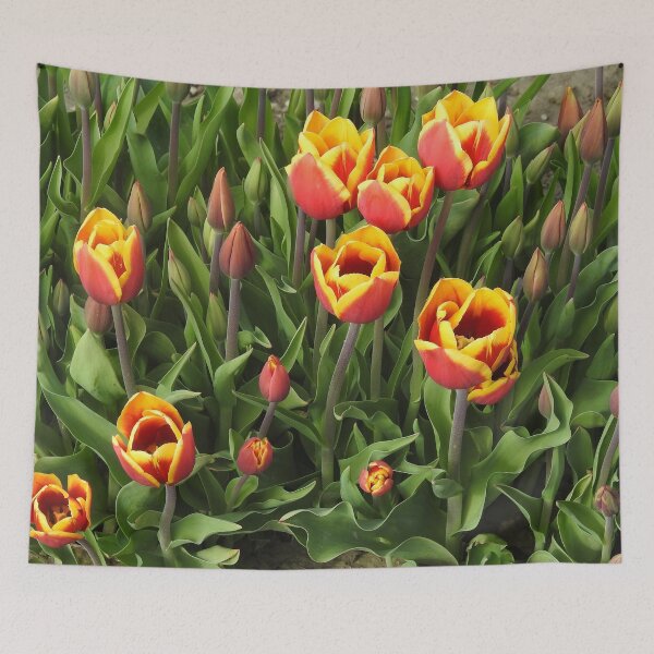 Item preview, Tulips, Washington State, Nature, gifts, Natural Vibes designed and sold by Sandra O'Toole.