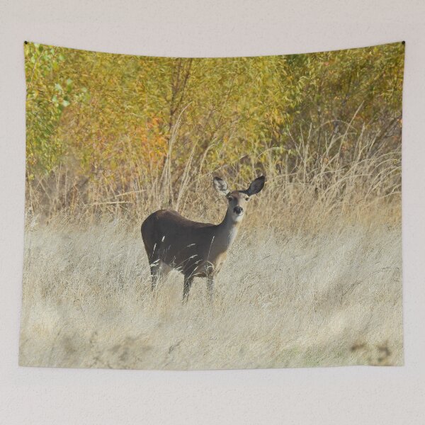 Item preview, Deer, wildlife, Golden Surprise designed and sold by Sandra O'Toole.