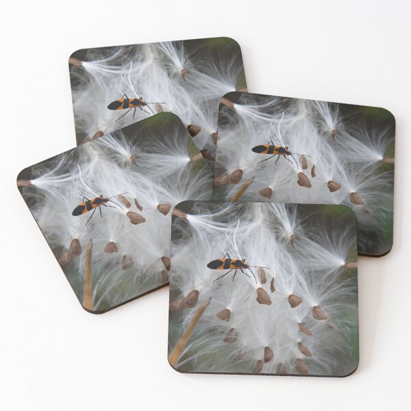 Item preview, Milkweed bug on Milkweed seeds... designed and sold by Poete100.