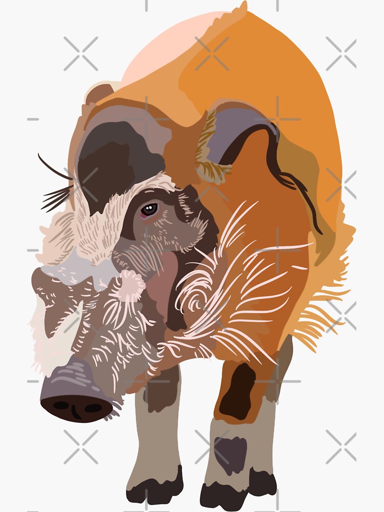 R Is For Red River Hog Sticker For Sale By Thezoogirl Redbubble