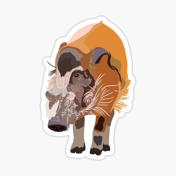 R is for Red river hog Sticker