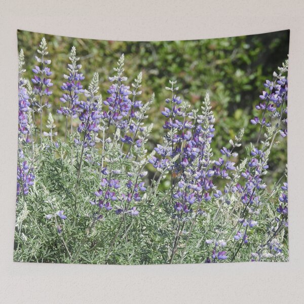 Item preview, Flowers, purple lupines, nature, gifts, Violet Sublime designed and sold by Sandra O'Toole.