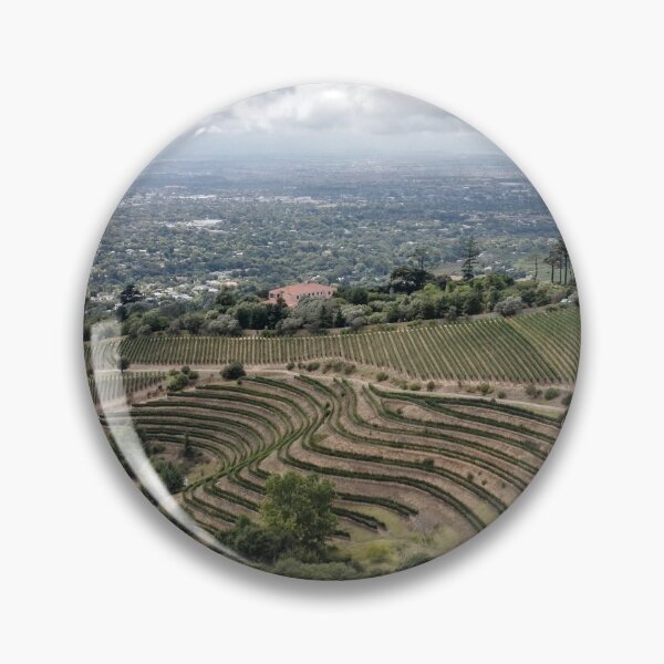 Item preview, Vineyards in Constantia, South Africa designed and sold by wineandwords.