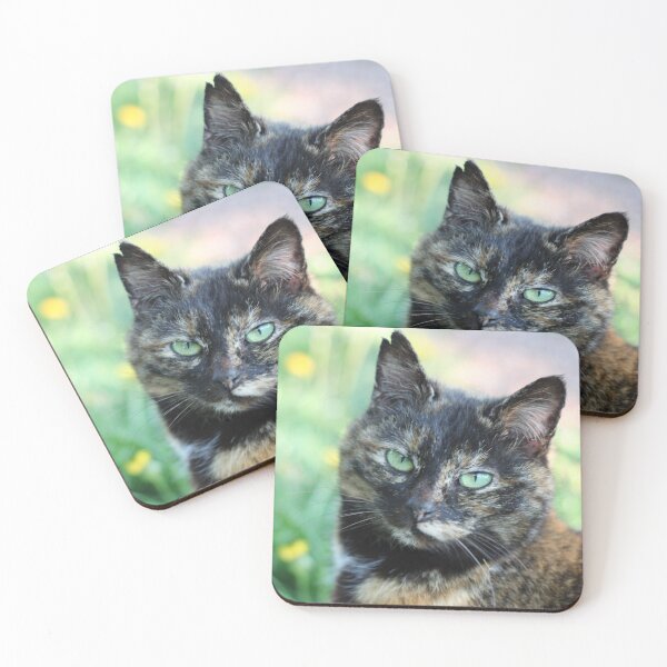 Item preview, tortoiseshell cat frowning designed and sold by wineandwords.