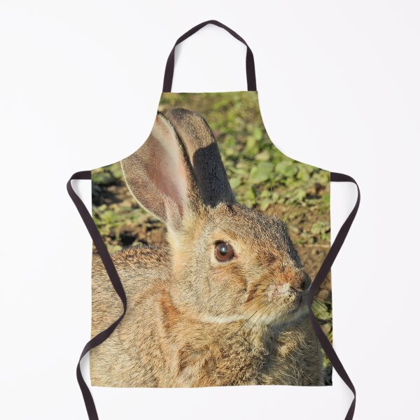 Item preview, Rabbit, wildlife, gifts, Cute Little Bun bun designed and sold by Sandra O'Toole.