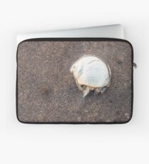 Entzückende Einsiedlerkrebs mit weißer Muschel Laptoptasche