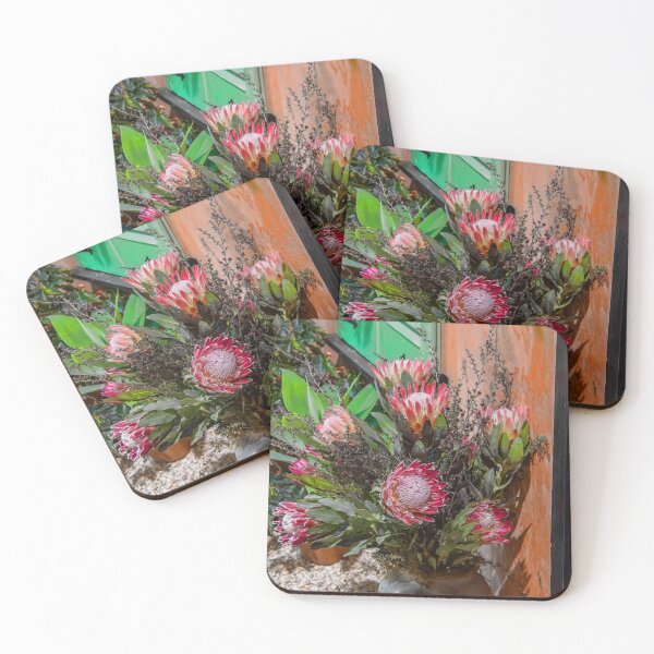 Aperçu de l'œuvre ETATS-UNIS. Philadelphia Flower Show 2020. Bouquet de fleurs King Protea. créée et vendue par vadim19.
