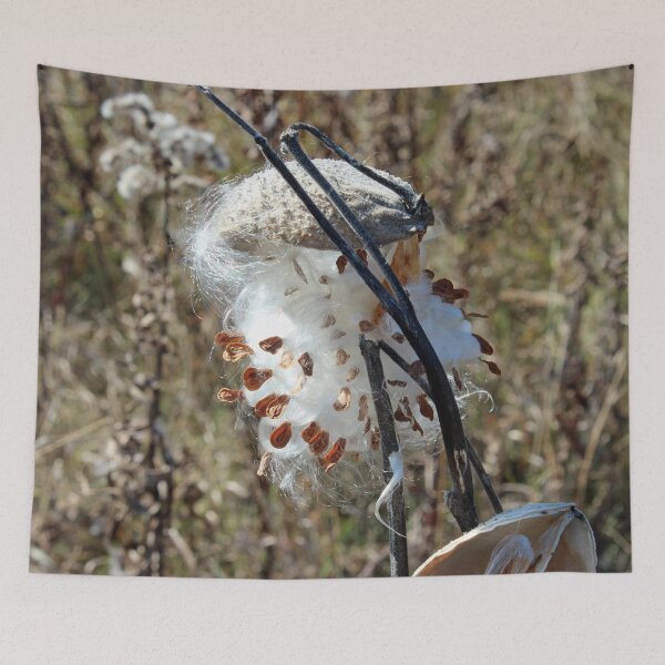 Item preview, Milkweed Pod in the Fall designed and sold by Susie Kramer.