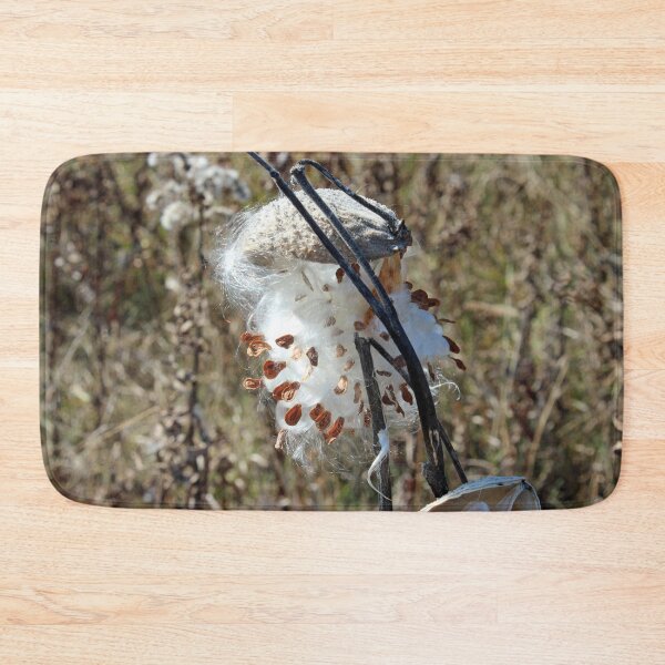 Item preview, Milkweed Pod in the Fall designed and sold by Susie Kramer.