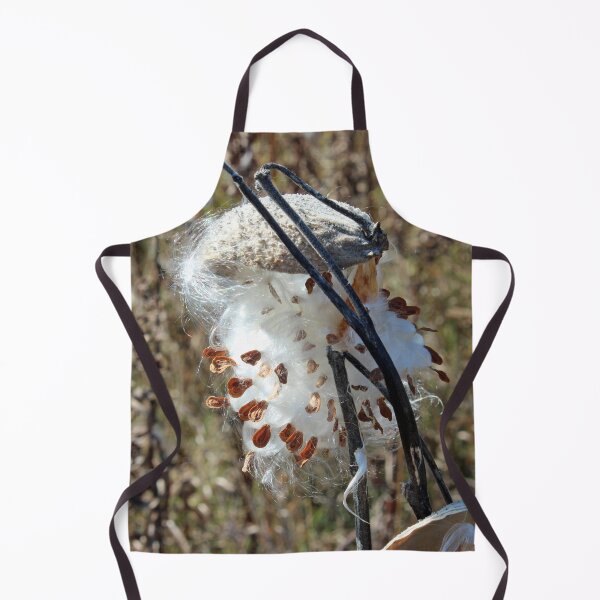 Item preview, Milkweed Pod in the Fall designed and sold by Susie Kramer.