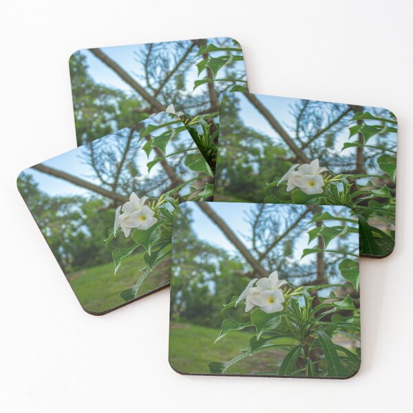 Item preview, White flower designed and sold by Viewtifulpapel.