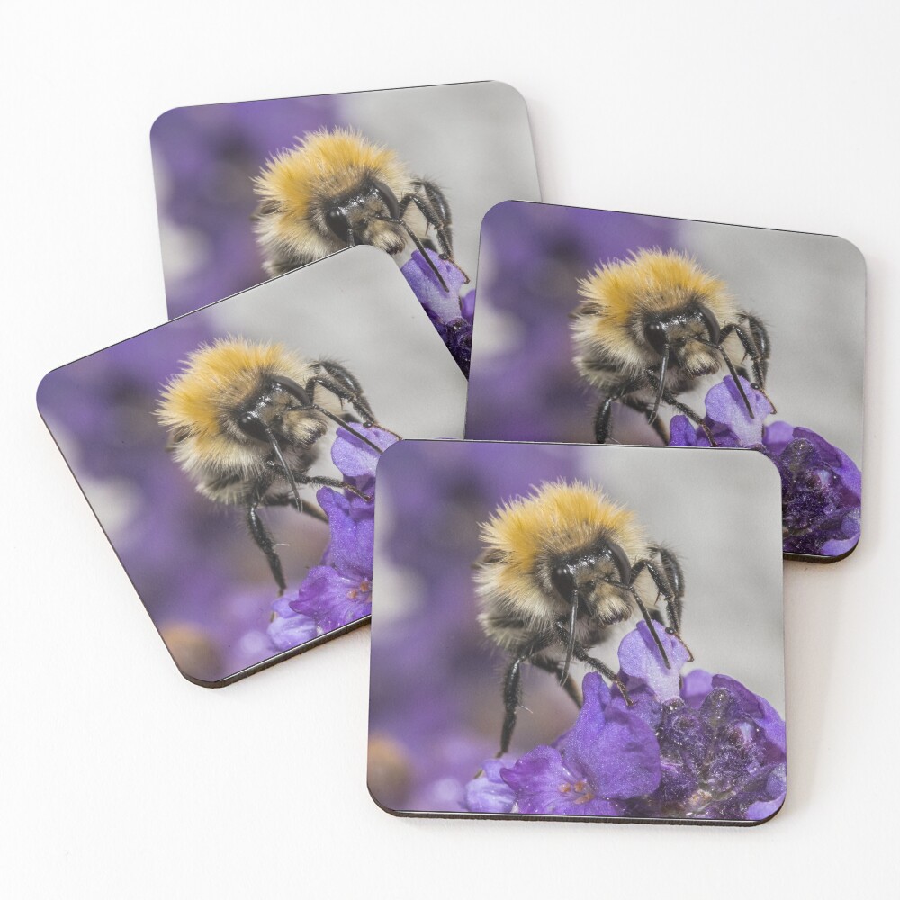 Item preview, Coasters (Set of 4) designed and sold by BromleyAR.