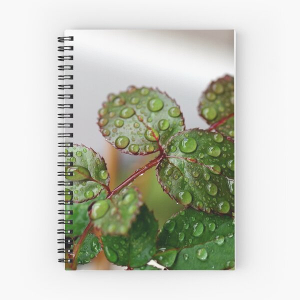 Item preview, Raindrops designed and sold by rom01.