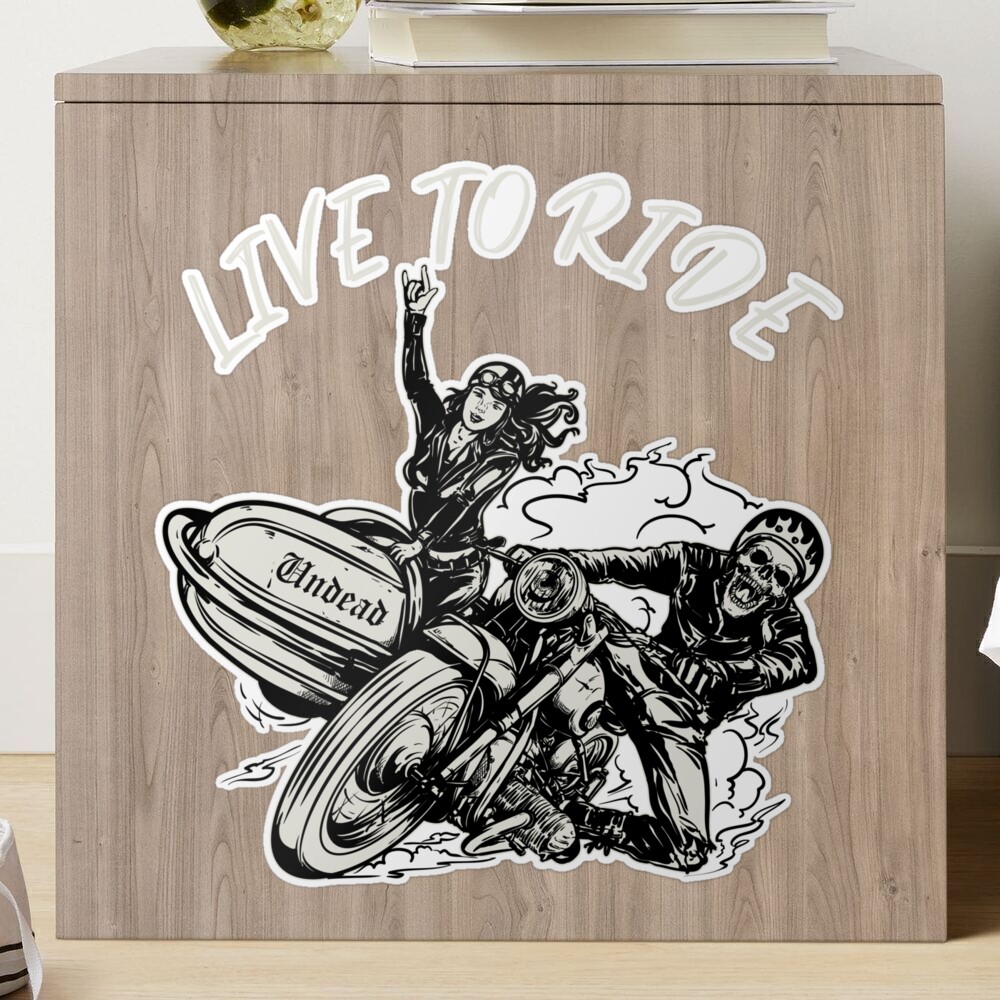 Motorcycle Stickers -  The practice of the biker – LE PRATIQUE DU MOTARD