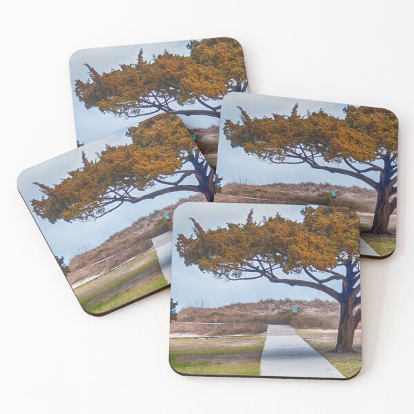 Item preview, Path to Huntington State Park designed and sold by Ruth Curtis.