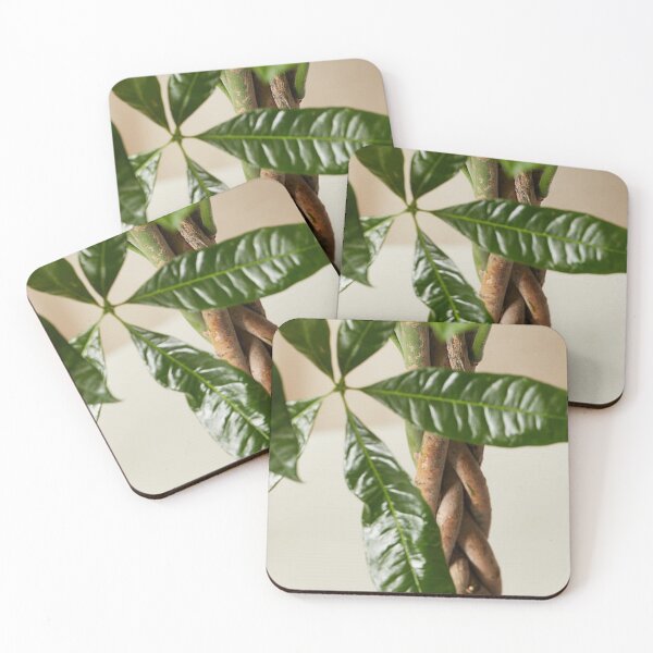 Item preview, Money Tree designed and sold by Aqua Victoria.