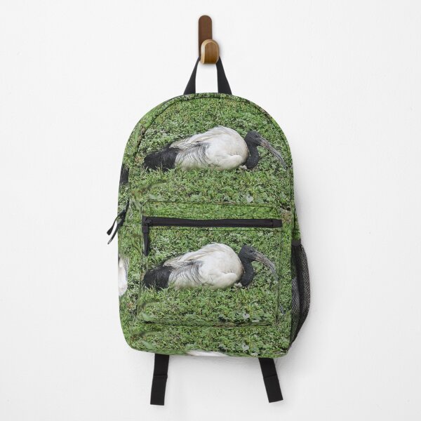 Item preview, r2456/ 10 parc-ornithologique-de-st-hilaire-la-palud - L' Ibis sacré - 2020 par Okaio Créations - Olavia&Olao designed and sold by o.okaïo.