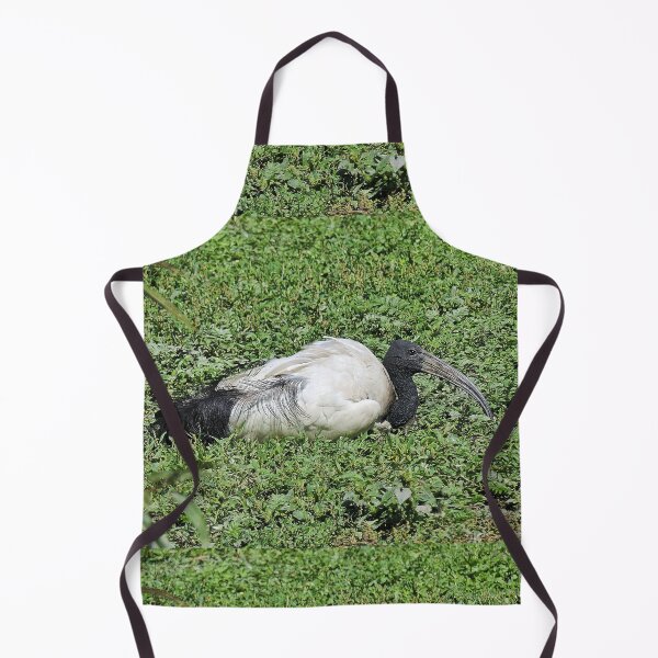Item preview, r2456/ 10 parc-ornithologique-de-st-hilaire-la-palud - L' Ibis sacré - 2020 par Okaio Créations - Olavia&Olao designed and sold by o.okaïo.
